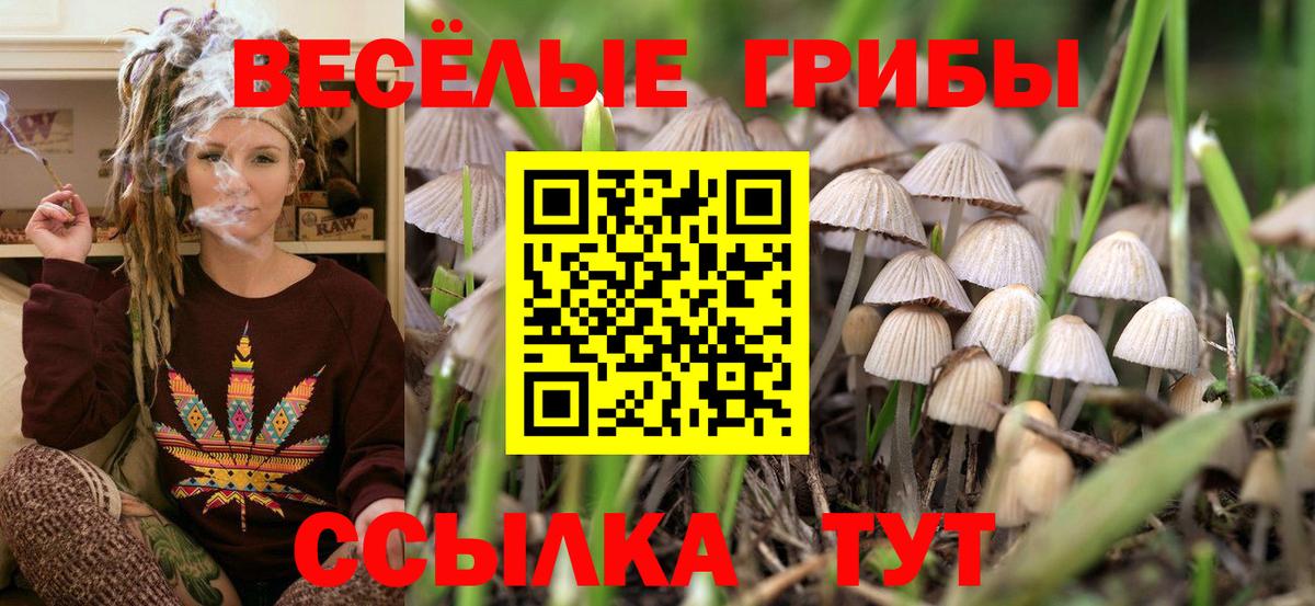 как найти закладки  Галлюциногенные грибы мицелий  Вход с VPN  Артём  Псилоцибиновые грибы Psilocybine cubensis 
