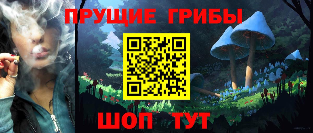 Галлюциногенные грибы Psilocybe Артём